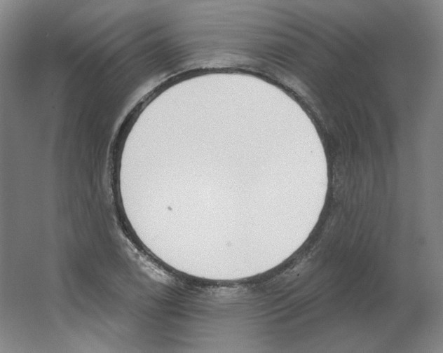 X0000063451122200602101641