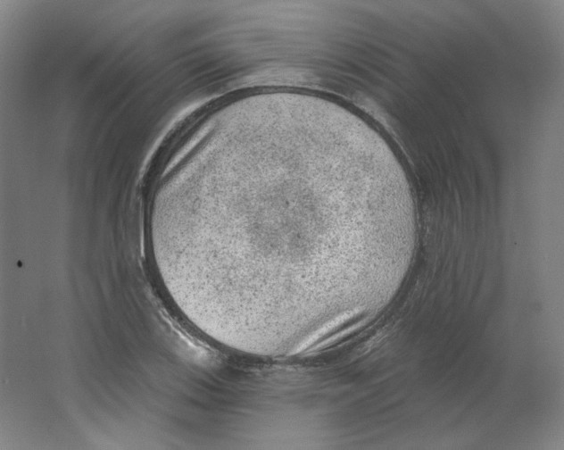 X0000063451123200602101641