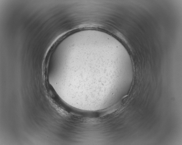 X0000063451124200602101641