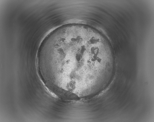 X0000063451125200602101641