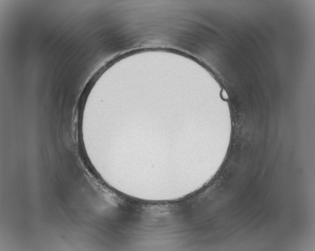 X0000063451126200602101641