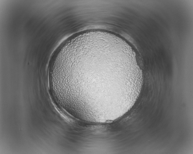 X0000063451127200602101641