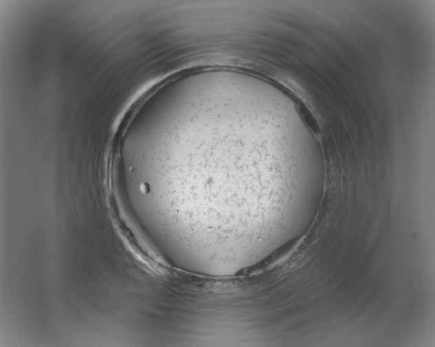 X0000063451128200602101641