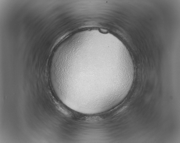 X0000063451129200602101641