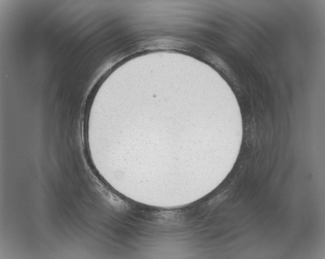 X0000063451130200602101641