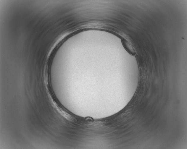 X0000063451131200602101641