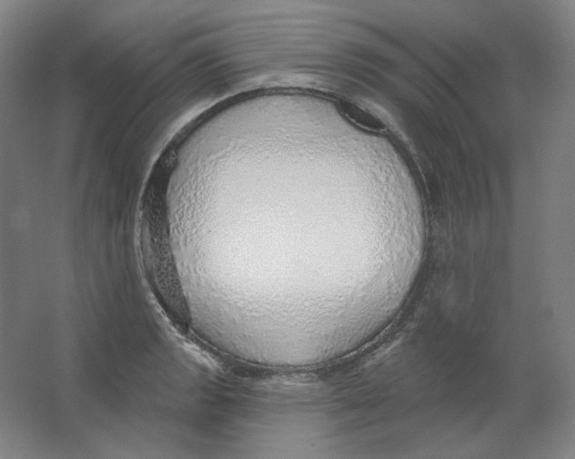 X0000063451133200602101641