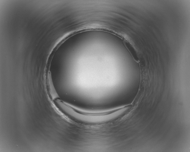 X0000063451134200602101641