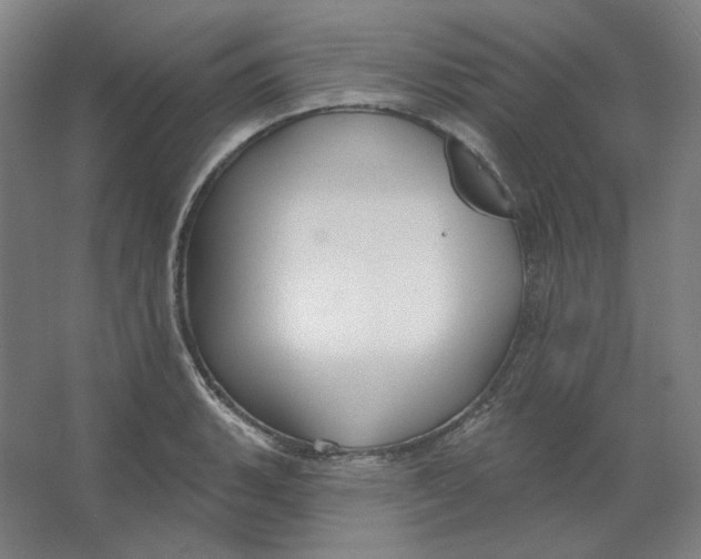 X0000063451135200602101641