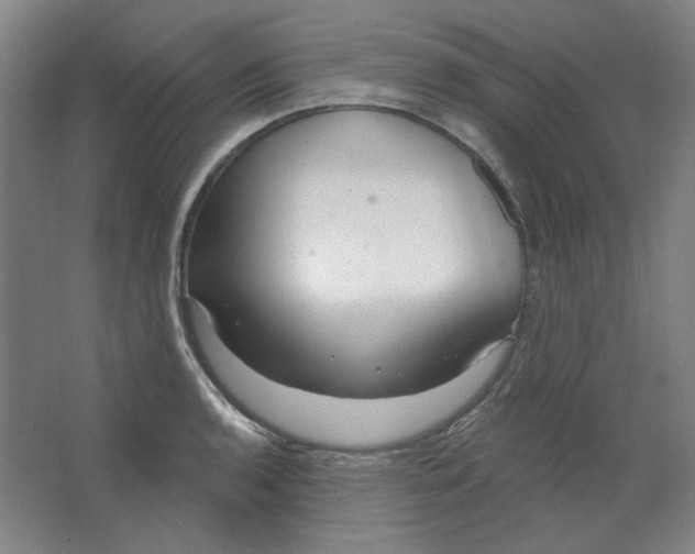 X0000063451136200602101641