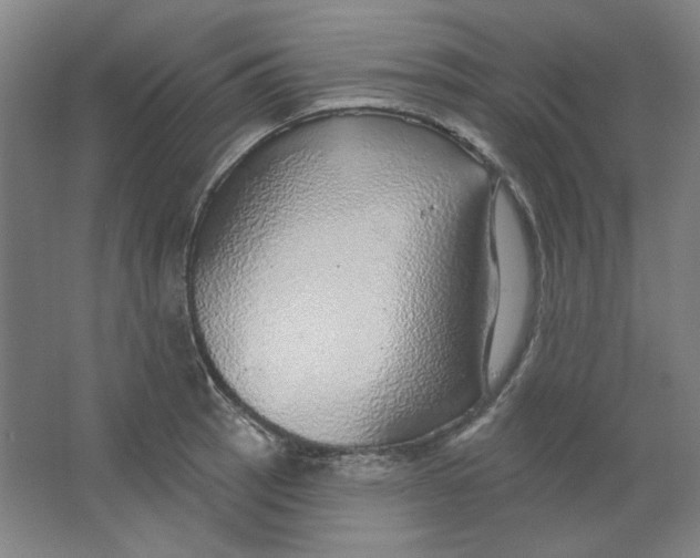 X0000063451137200602101641