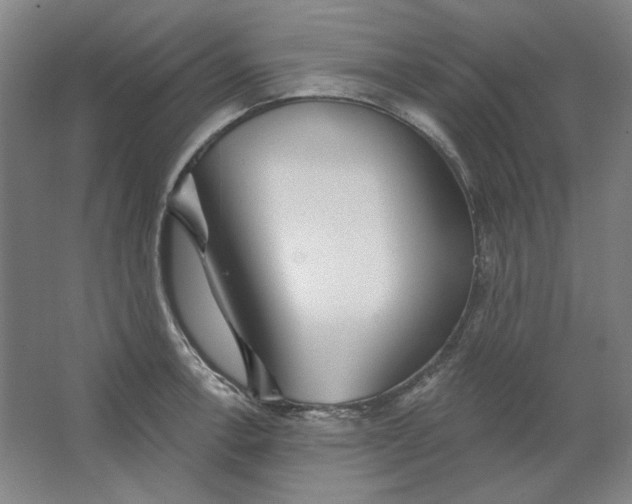 X0000063451138200602101641