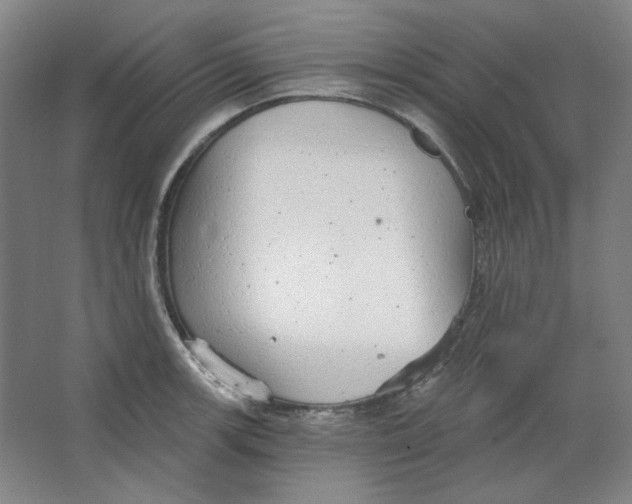 X0000063451139200602101641