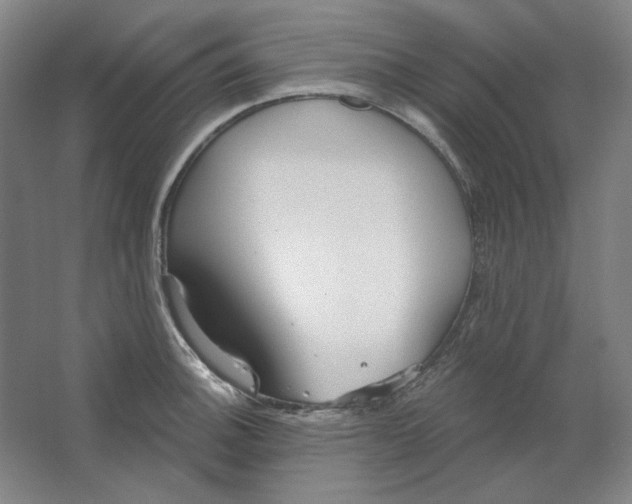 X0000063451140200602101641