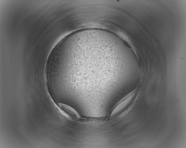 X0000063451141200602101641