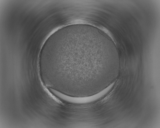 X0000063451142200602101642