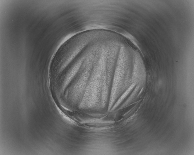 X0000063451143200602101642