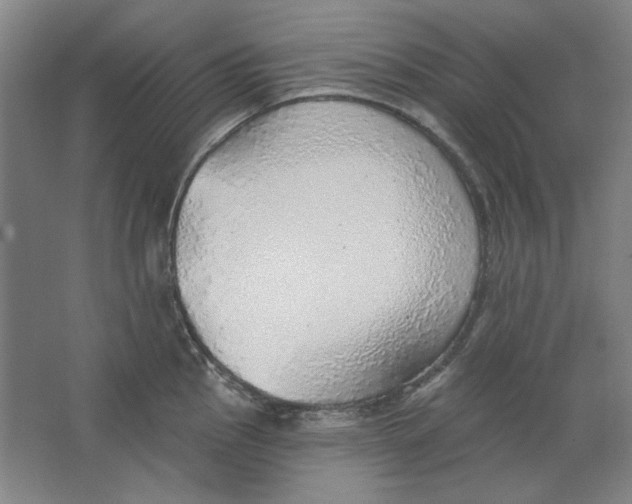 X0000063451145200602101642