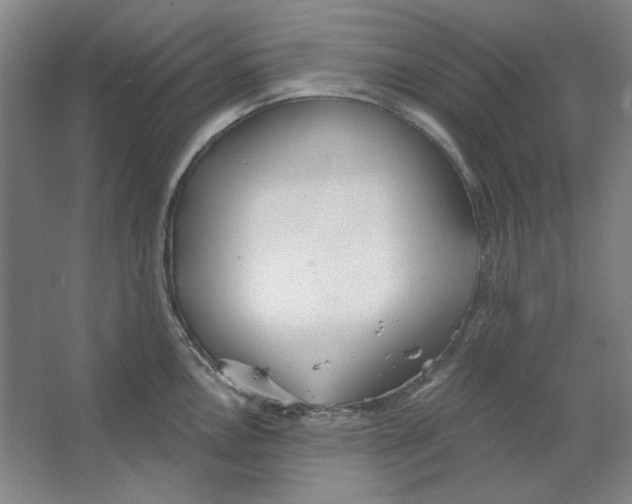 X0000063451146200602101642