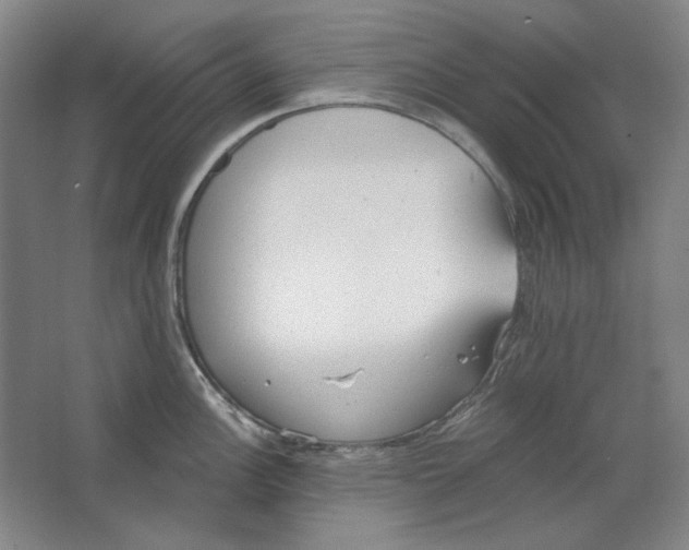 X0000063451148200602101642