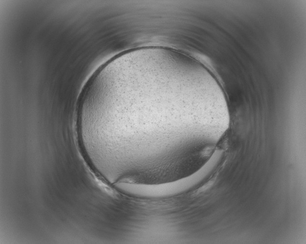 X0000063451149200602101642