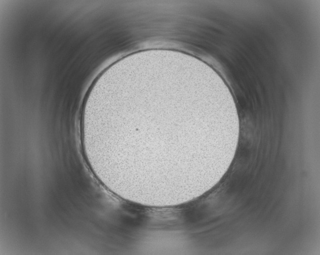 X0000063451150200602101642