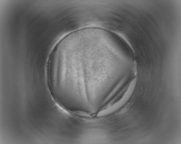 X0000063451151200602101642