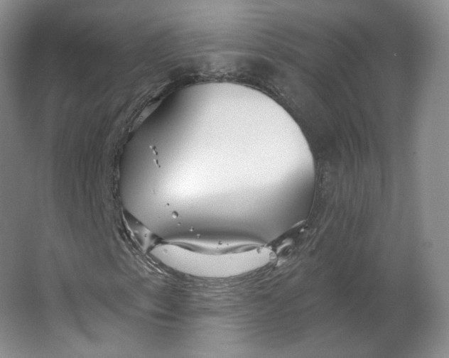 X0000063451153200602101641