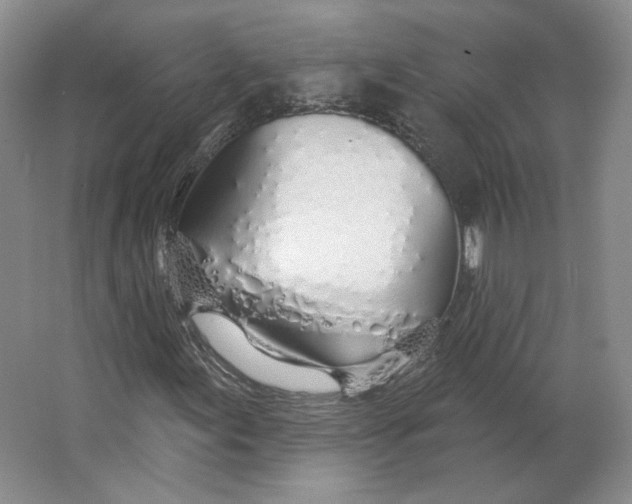 X0000063451155200602101641