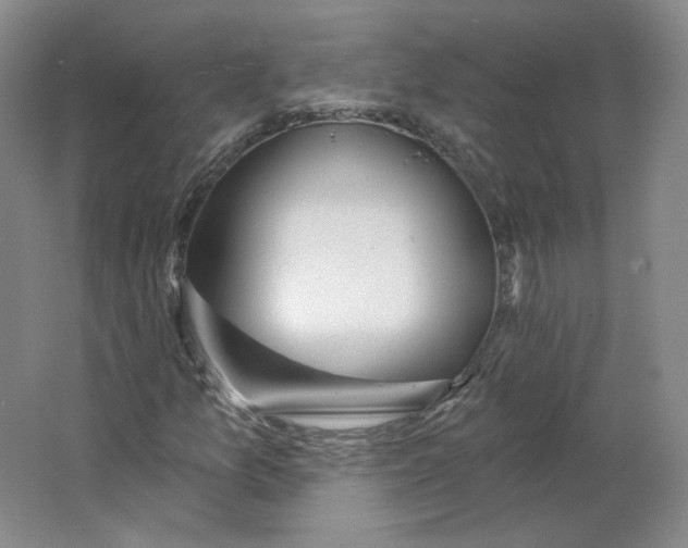 X0000063451157200602101641