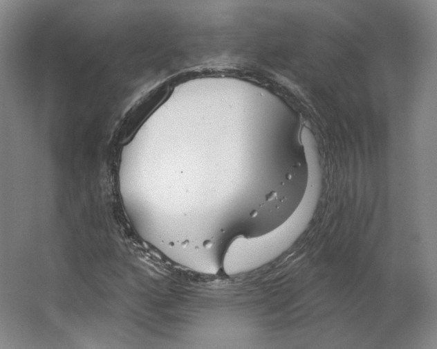 X0000063451160200602101641