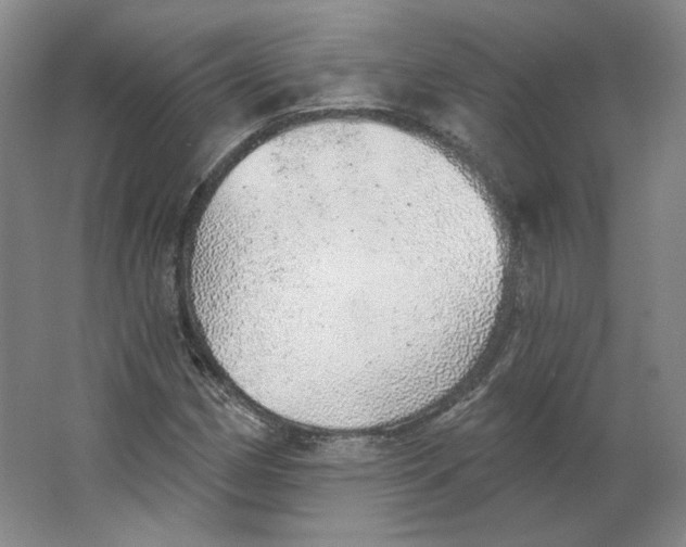 X0000063451162200602101641