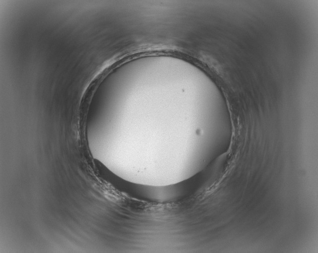 X0000063451165200602101641