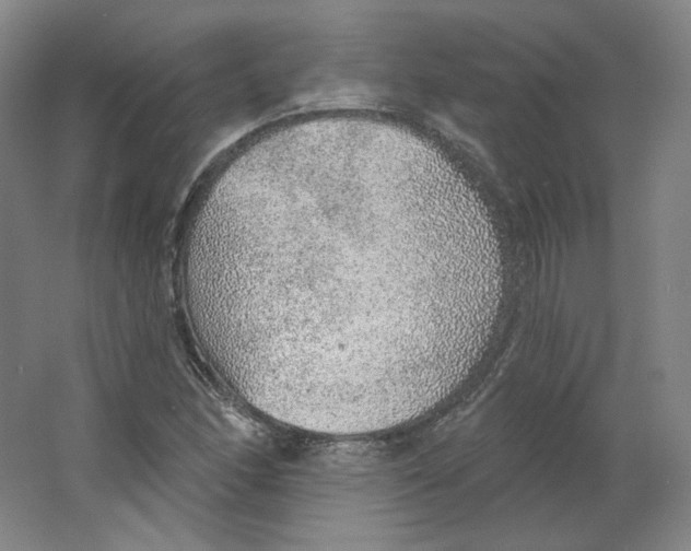 X0000063451166200602101641