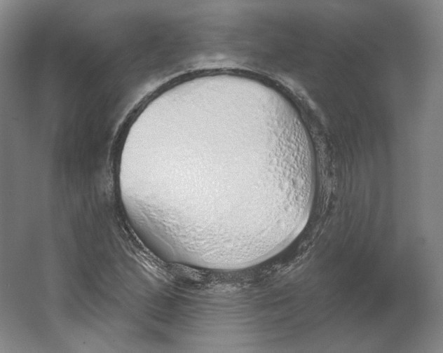 X0000063451167200602101641