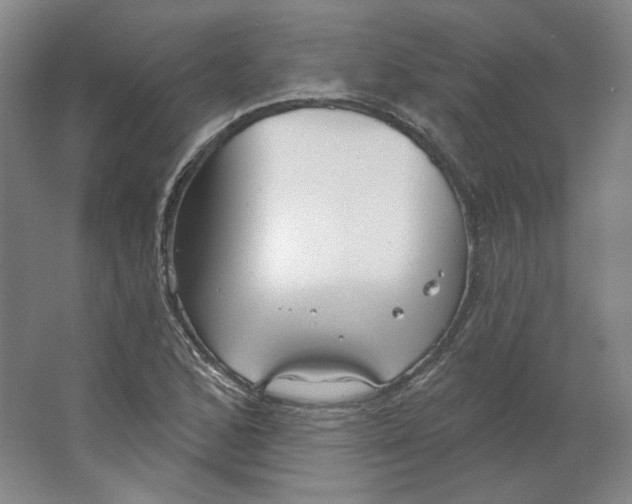 X0000063451168200602101641