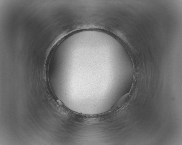 X0000063451173200602101641