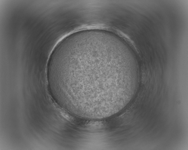 X0000063451174200602101641