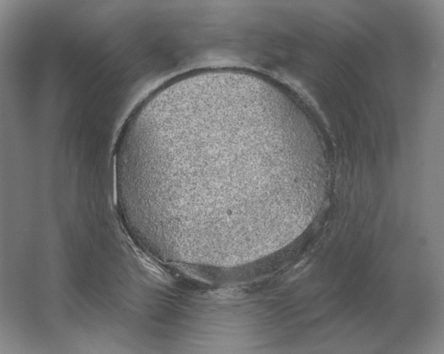 X0000063451175200602101640