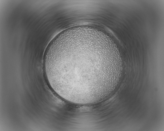 X0000063451178200602101640