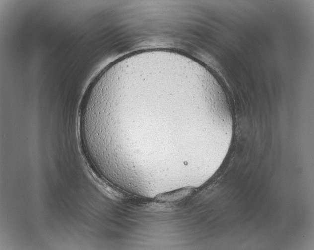 X0000063451179200602101640