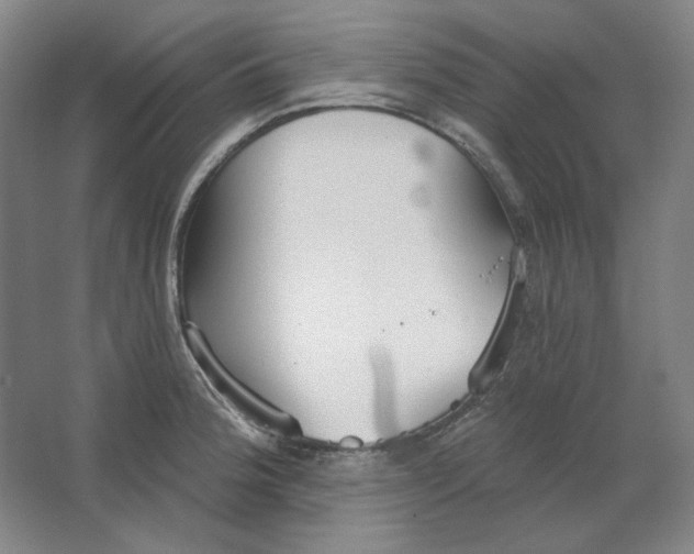 X0000063451188200602101640