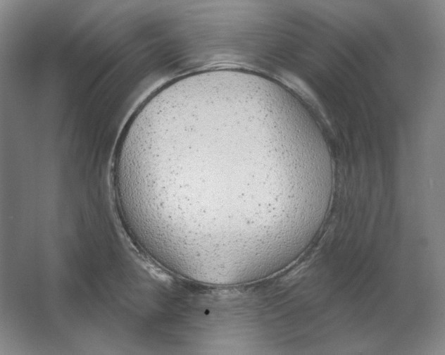 X0000063451190200602101640