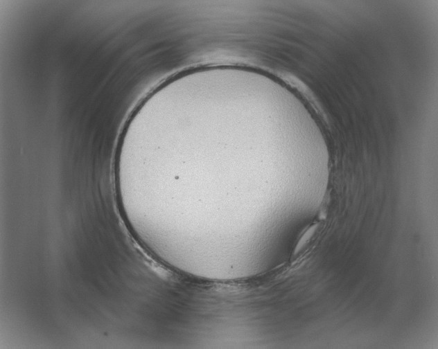 X0000063451191200602101640