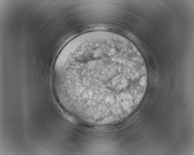 X0000063451194200602101640