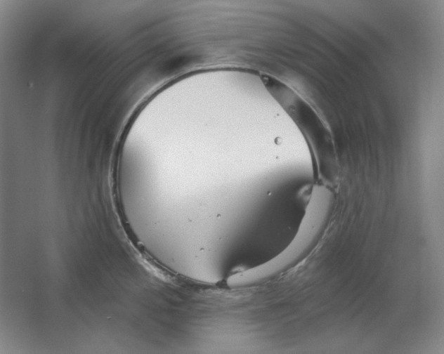 X0000063451197200602101640