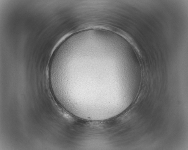 X0000063451198200602101640