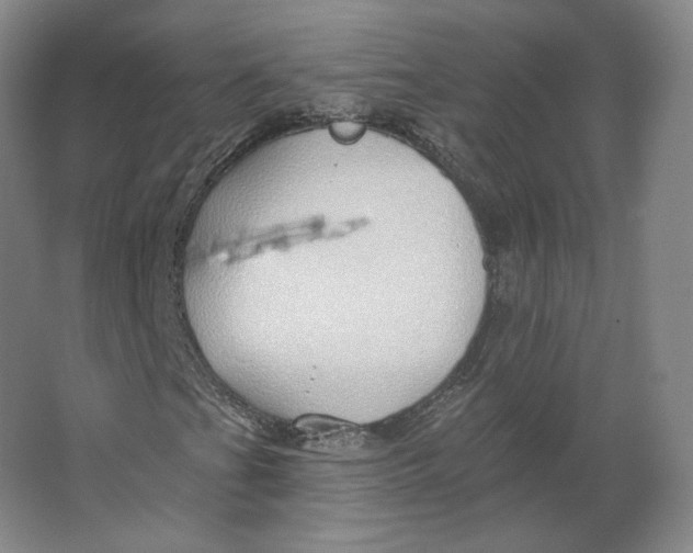 X0000063451201200602101639