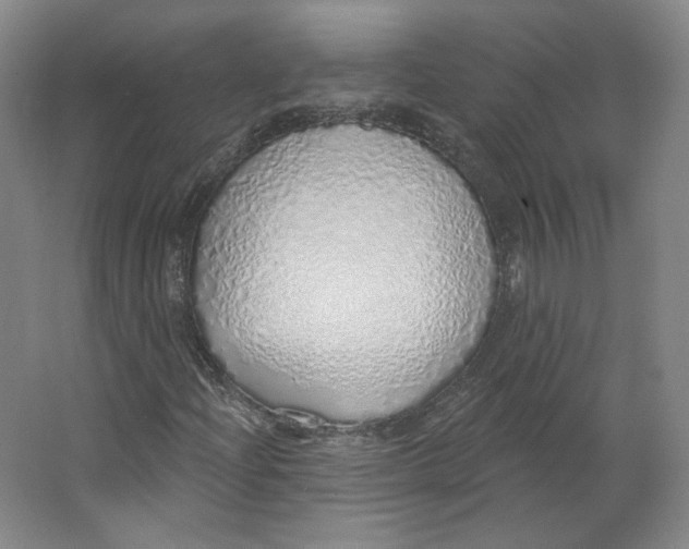 X0000063451204200602101639