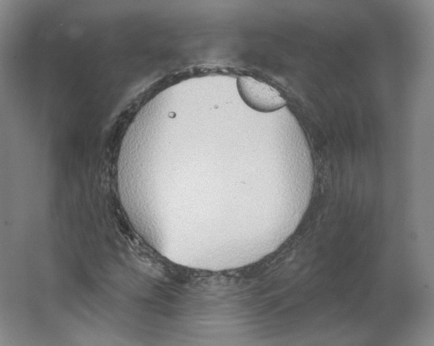 X0000063451207200602101639